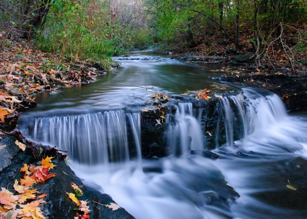 The Stream of Life