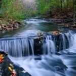 The Stream of Life